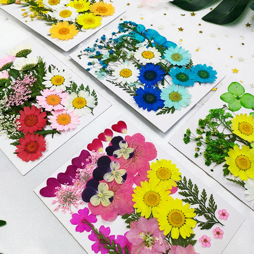 Small Real Dried Flower Natural Dry Plants For Candle Epoxy Resin Pendant Necklace Jewelry Making Craft DIY Accessori