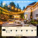 The Horizon Line | 24V Low-Voltage Remote-Controlled Outdoor String Lights