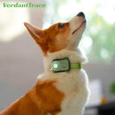 GlocalMe PetPhone Pet GPS Tracker WiFi Pet Phone for Dogs Cats AI Health Alerts Two-Way Call Real-Time Tracking Geo-Fencing