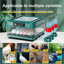 Fully Automatic Smart Home Incubator with Drawer Style, Equipped with Automatic Water Replenishment and Temperature Control