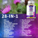 Liver Health Support, 28-in-1 Liver Cleanse, Detox & Repair Fatty Liver Formula with Artichoke, Dandelion - 120 Capsules