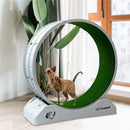 Cat Toys Silent Treadmill Running Wheels Roller Flatbed Pet Fitness Scratcher Board Exercise Cat Climbing Frame Pet Supplies
