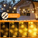 The Horizon Series | 24V Low-Voltage LED String Lights IP44 Outdoor 60M