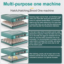 Fully Automatic Smart Home Incubator with Drawer Style, Equipped with Automatic Water Replenishment and Temperature Control
