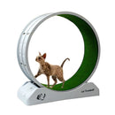 Silent Cat Running Wheel Treadmill Toy with Scratcher Board,Cat  Exercise Roller Frame,Pet Fitness Climbing Toy, 80×35×85cm Gray