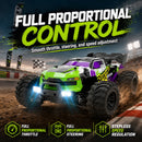 ZNLYRION RC Car Buggy 1:16 4 Wheel Drive Off-Road SG116MAX PRO Vehicle Optional Brushless Motor Anti-Slip Tire Remote Control Racing Truck