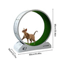 Cat Toys Silent Treadmill Running Wheels Roller Flatbed Pet Fitness Scratcher Board Exercise Cat Climbing Frame Pet Supplies
