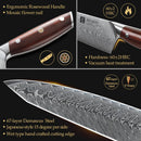 XINZUO 8.5 ''Inch Chef Knives Damascus Steel Japanese Kitchen Knives Damascus VG10 Stainless Steel Knives with Rose Wood Handle