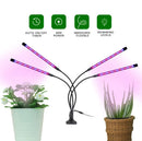 LED Grow Light USB Phyto Lamp Full Spectrum Fitolamp With Control Phytolamp For Plants Seedlings Flower Home Tent