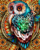 HUACAN Coloring By Numbers Owl Animals Kits Drawing Canvas DIY Pictures Oil Painting Hand Painted Gift Home Decor