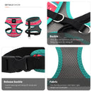 Fashion Dog Harness with Cute Pattern and Bright Color in Breathable Fabric