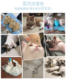 猫薄荷猫玩具 柔软抓绒毛绒仿真老鼠猫薄荷籽玩具 磨牙互动有趣玩耍玩具 适用于猫咪小猫