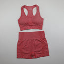 Workout Clothes For Women Seamless Yoga Sports Suits Sport Bra Top+High Waist Fitness Shorts 2 Piece Gym Set Running Sportswear