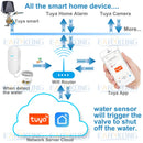 EARYKONG Tuya WiFi Water Leakage Sensor Independent Liquid Leak Alarm 4 Versions Available Easy Installation