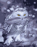 HUACAN Coloring By Numbers Owl Animals Kits Drawing Canvas DIY Pictures Oil Painting Hand Painted Gift Home Decor