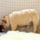 PETCIRCLE 宠物狗衣服秋冬法斗柯基两腿休闲舒适毛衣保暖