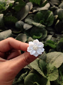Fashion Korean Big Resin Flower Stud Earrings for Women Vintage Acrylic Pearl Love Pending Earring 2024 Fashion Jewelry Brincos