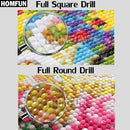HOMFUN Full Square/Round Drill 5D DIY Diamond Painting "Northern Lights" Embroidery Cross Stitch 5D Home Decor Gift A07623