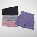 Workout Clothes For Women Seamless Yoga Sports Suits Sport Bra Top+High Waist Fitness Shorts 2 Piece Gym Set Running Sportswear
