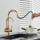 The Twofold Tap | Rozin 2-in-1 Filtered Kitchen Faucet in Antique Brass