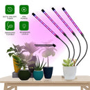 LED Grow Light USB Phyto Lamp Full Spectrum Fitolamp With Control Phytolamp For Plants Seedlings Flower Home Tent