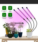 LED Grow Light USB Phyto Lamp Full Spectrum Fitolamp With Control Phytolamp For Plants Seedlings Flower Home Tent