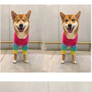 Puppy Rainbow Sweater Knitted Pet Cat Sweater Warm Dog Sweatshirt Dog Winter Clothing Kitten Puppy Sweater