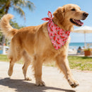 The Orchard | Fruit-Floral Adjustable Dog Bandana for Small, Medium & Large Breeds