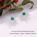 New Arrival Earrings For Women Temperament White Zircon Rhinestones Unique Design Brand Earings Fashion Jewelry Bijoux AE210