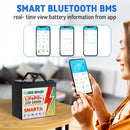 12V 100AH LiFePO4 Battery Pack BMS 100A For Solar Boat RV Camping Solar Trolling Motor Bluetooth Lithium Iron Phosphate Batteria