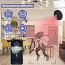 Camdepot 3MP IP 摄像头，支持 Onvif，适用于 NVR 区域报警 2.4Ghz WiFi 摄像头 AI 跟踪人形检测 双向音频 PTZ 婴儿监视器 ICSEE