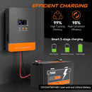 The Solar Sentinel | 100A MPPT Solar Charge Controller 12V-48V