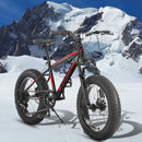 Ecarpat 20 Inch Kids' Bike, 4-Inch Wide Fat Tire Snow Mountain Bike, 7 Speed for Boys Girls Children Kids' Bicycles, Steel Frame