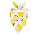The Orchard | Fruit-Floral Adjustable Dog Bandana for Small, Medium & Large Breeds