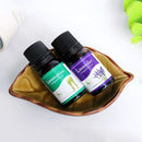 香薰精油 水溶性精油扩香仪香薰精油 - 玫瑰、薰衣草、柠檬、薄荷、柠檬草、檀香