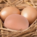 6/12/18/30pcs Hatching Egg Easter Hen Poultry Hatch Breeding Simulation Fake Plastic Artificial Eggs to Help Chickens Lay Eggs