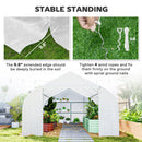 20' X 10' X 7' Greenhouse Large Walk-In Hot Green House Plant Gardening White