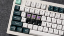 Keychron Q5 HE QMK Wireless Custom Mechanical Keyboard Magnetic Switches Adjustable Actuation Point Aluminum RGB Backlight