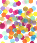 30 g Round Pastel Rainbow Pastel Tissue Confetti Dots for Wedding Baby Shower Graduation Birthday Party Decoration