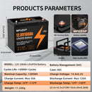 The Iron Current | 12V LiFePO4 Deep-Cycle Battery 100Ah–300Ah
