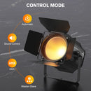 Fieryzeal 2PCS 200W COB Par Light with Barn Door DMX512 Linear Spotlight Warm&Cold White Stage Light for DJ Club Party Concert