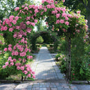 Metal Garden Plant Trellis for Clambing Plants Wedding Arch Frame