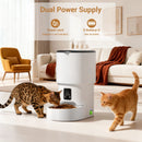 Programmable 4L Automatic Pet Feeder for Small Dogs Cats, Up to 6 Meals Daily, Timer/Portion Control, Pet Feeding Food Dispenser