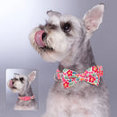 Bowknot Floral Dog Collar Nylon Flower Pet Dogs Collar Padded Puppy Collars Adjustable for Small Medium Large Dogs Pug Chihuahua