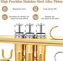 SLADE Bb Trumpet Brass Instrument Standard Brass Trumpet Set for Students Beginners Professional Trumpet Gold Silver with Box