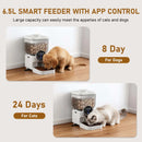 The Sentinel Feeder | WiFi Smart Pet Feeder with HD Camera & Rechargeable Battery