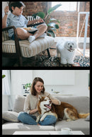 The Boundary Keeper | Intelligent Wireless Pet Containment System for Up to 3 Dogs