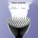 Ironing Iron, Clothes Ironing Iron, Portable Iron, Ironing Clothes, Ironing Iron Ironing Steamer, From Brazil