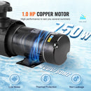 SucceBuy地上水池水泵1HP/1.5HP/2HP单速带滤篮，适用于地上水池、热水浴缸、水疗池，通过UL认证