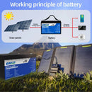 The Grid Sentinel | 12V-24V LiFePO4 Deep-Cycle Battery (100Ah-300Ah, Built-in BMS)